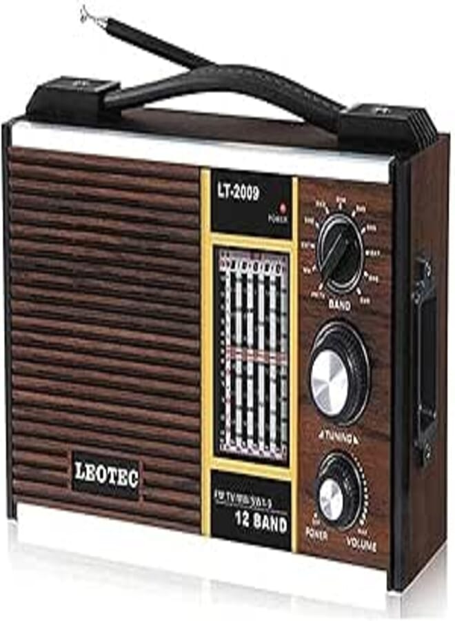 Leotec FM/AM/MW1/MW2 - LT. 2009 Classic Wood Shape Radio, Brown